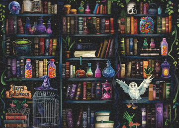 Magical Bookshelf Mystery Jigsaw Puzzle 1000 Pieces